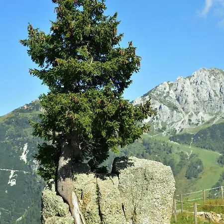 Sonnleitn/nassfeld Appartement Sonnenalpe Nassfeld