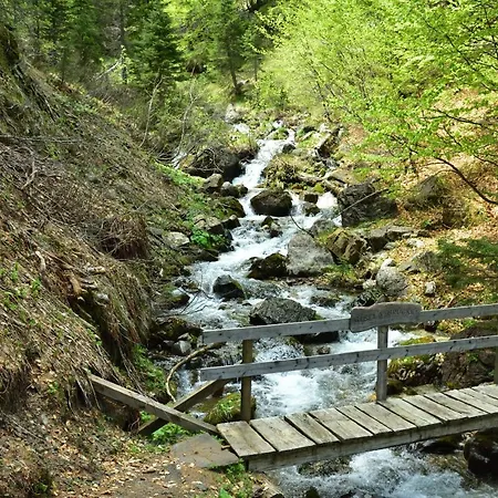 Sonnleitn/nassfeld Appartement *