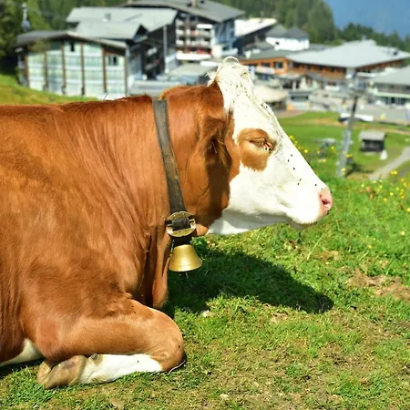 Sonnleitn/nassfeld Appartement *