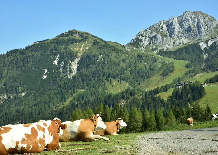 Sonnleitn/nassfeld Apartment Sonnenalpe Nassfeld