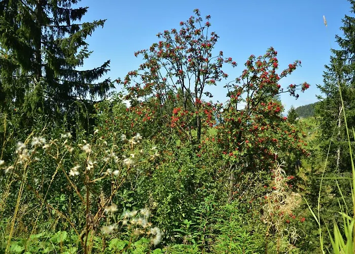 Sonnleitn/nassfeld * Sonnenalpe Nassfeld