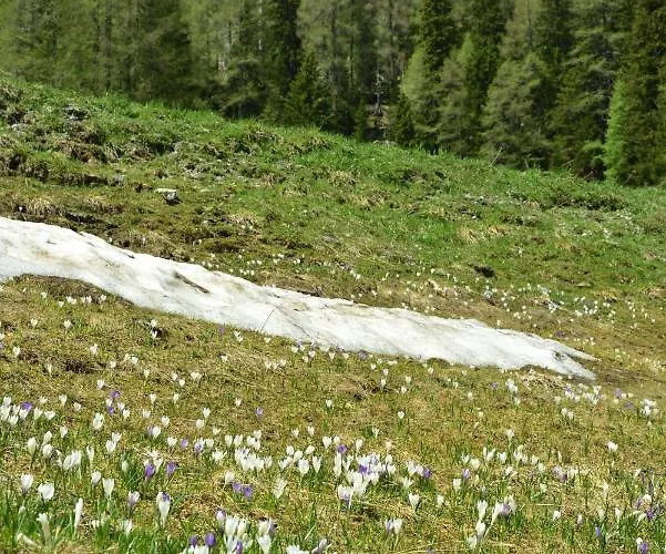 Sonnleitn/nassfeld * Sonnenalpe Nassfeld