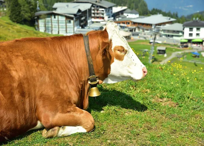 Sonnleitn/nassfeld Apartment *